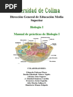 Practicas 5 y 7