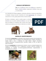 Animales Vertebrados