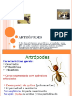 ARTROPODES