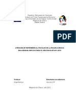 Proyecto Comunitario Completo de Enfermeria