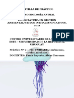 Cartilla Cnidaria PDF