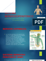 Sistema Nervioso Periferico