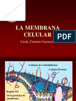 Membrana Plasmatica Carmen