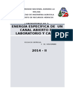 Laboratorio Energia Especifica