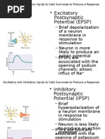 Neuronal Communication