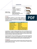 Langostinos PDF