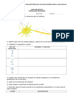 Guia Apoyo 1 Fisiologia Neuronal