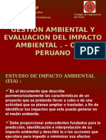 Diapositivas Estudio Impacto Ambiental Peru