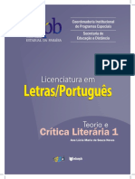 Teoria e Critica Literaria