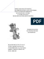 Informe de Pasantias IUETLV