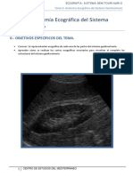 T 4 Anatomia Ecografica PDF