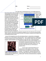 Cell Membrane Permeability Lab Guide and Worksheet