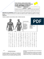 Formato Guia Clase Guia 8 2016 Musculo