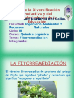 Fitorremedicion 1