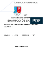 Informe de Experimento de Shampoo de Sabila