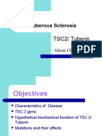 Tuberous Sclerosis: TSC2/ Tuberin