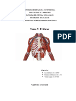 Anatomía Informe TEMA 9. Bioanalisis UC