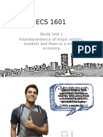 Study Unit 1 Interdependence of Major Sectors, Markets and Flows in A Mixed Economy