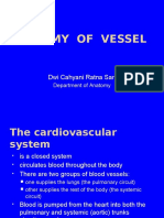 Anatomy of Blood Vessel and Lymphatics