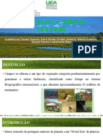 Seminário Oficial - Pampas Ou Campos Sulinos