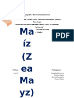 Generalidades Sobre El Maiz