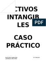 Auditoria de Activos Intangibles