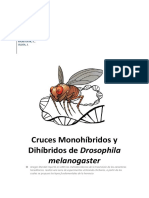 2011 2012 Cruces Monohibridos y Dihibrid PDF