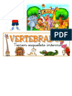 Animales Vertebrados