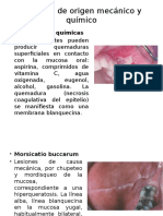 Lesiones de Origen Mecánico y Químico Etc