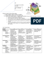 Cell Model Assignment