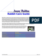 Rabbit Care Guide: Living With A House Rabbit: Bunny Basics