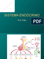 Biologia PPT - Sistema Endócrino 