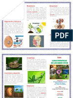 Triptico Caracteristicas