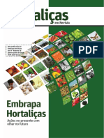 EDIÇÃO 19 - Hortaliças em Revista - Irrigação de Tomateiro Orgânico PDF