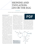 Methionine and Methylation Chicken or The Egg PDF