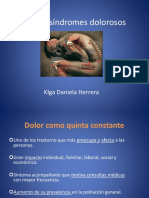 Dolor y Síndromes Dolorosos PDF