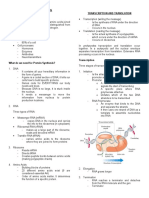 Protein Synthesis