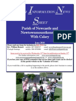 P I N S: Parish of Newcastle and Newtownmountkennedy With Calary