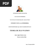 Teoria de Jean Watson Trabajo