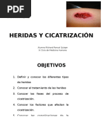 Heridas y Cicatrización