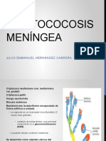 Criptococosis Meningea