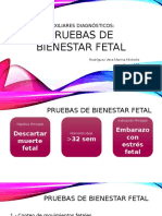 Pruebas Bienestar Fetal Final