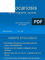 Toxocariasis