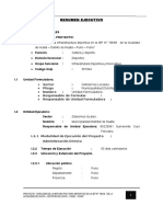 01 Resumen Ejecutivo Grass Sintetico