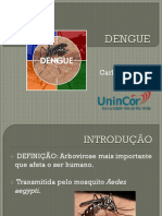 Aula Dengue