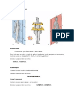 Planos Anatomicos