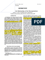 SAR of Fluoroquinolones