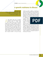 pl13 PDF