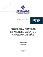 Psicologia Práticas em Aconselhamento e Capelania Crista