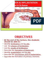 Fertilization & Implantation